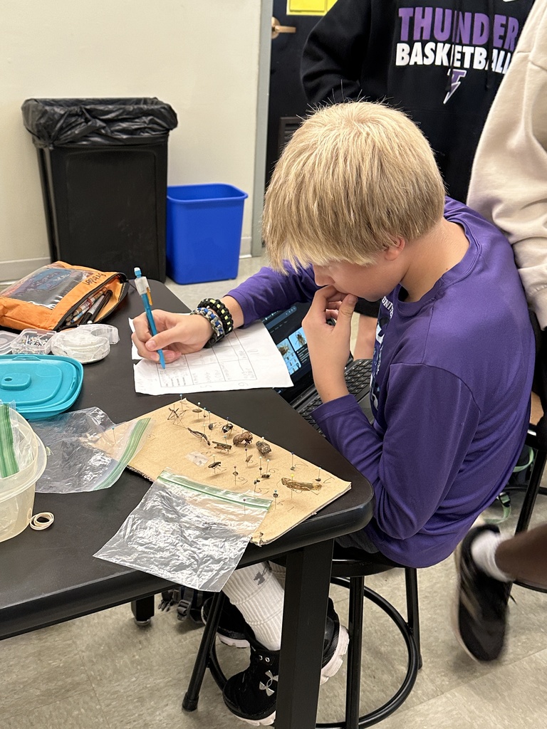 science students working on identifying bug species
