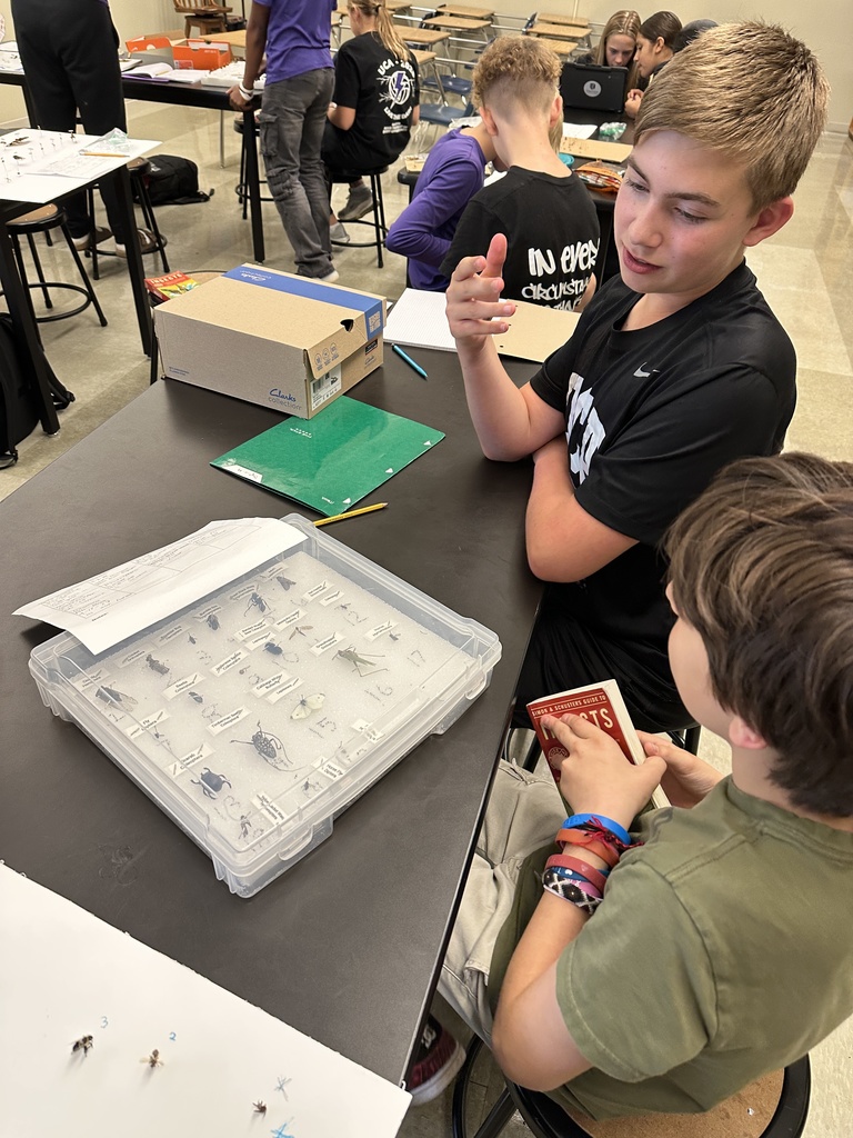 science students working on identifying bug species