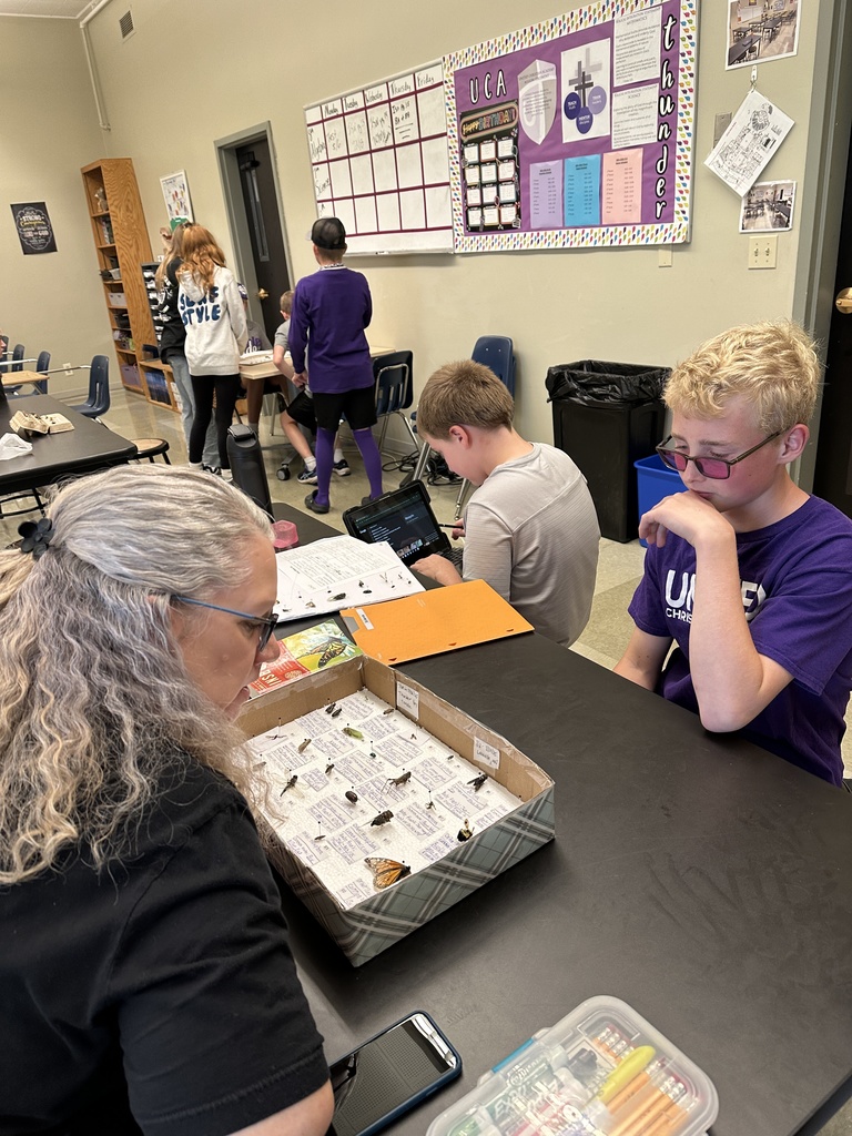 science teacher looking at a student's bug project