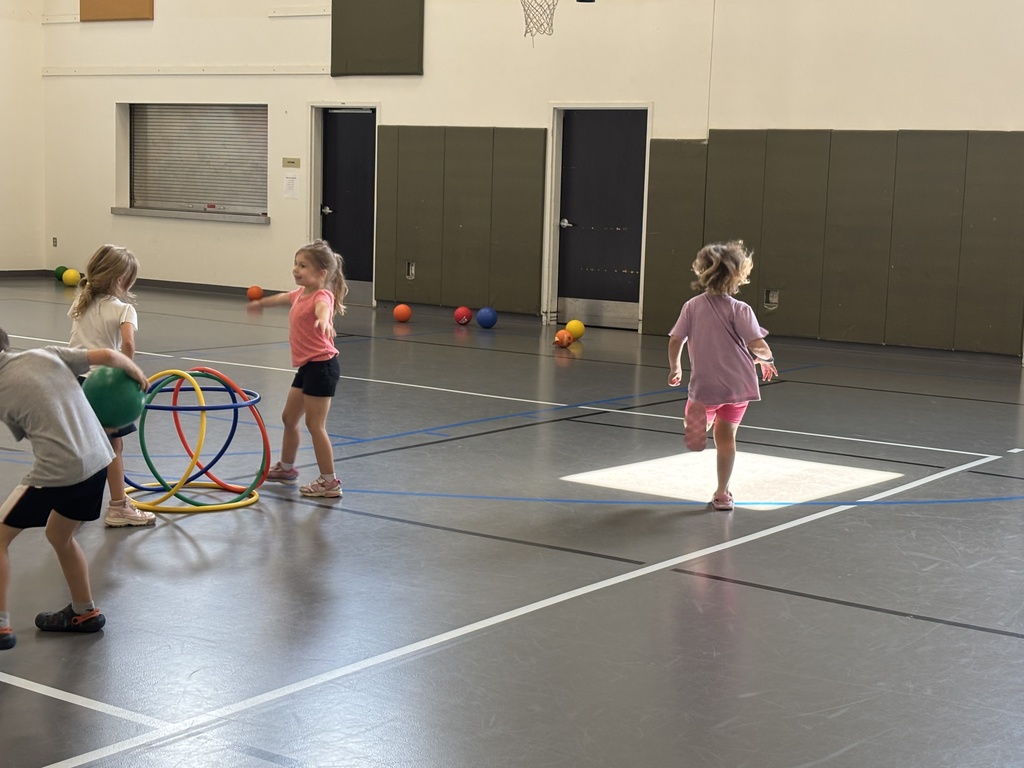 kindergarten students playing a game in PE class involving hula hoops and dodgeballs