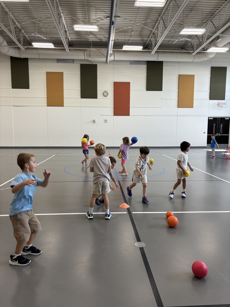 kindergarten students playing a game in PE class involving hula hoops and dodgeballs