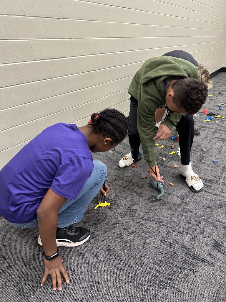 7th grade students participating in a relay race, trying to pick up a toy dinosaur with chopsticks