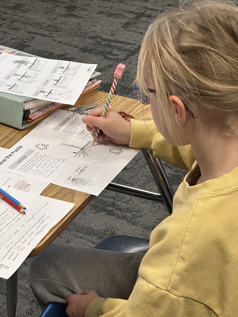 4th grade students working in pairs at their desks doing a science experiment