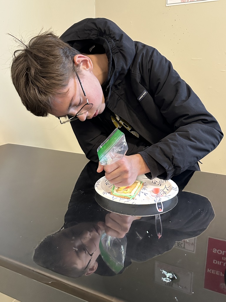 student using frosting to decorate a cookie to look like a cell 
