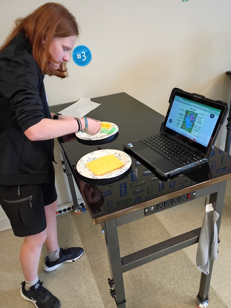 student using frosting to decorate a cookie to look like a cell 
