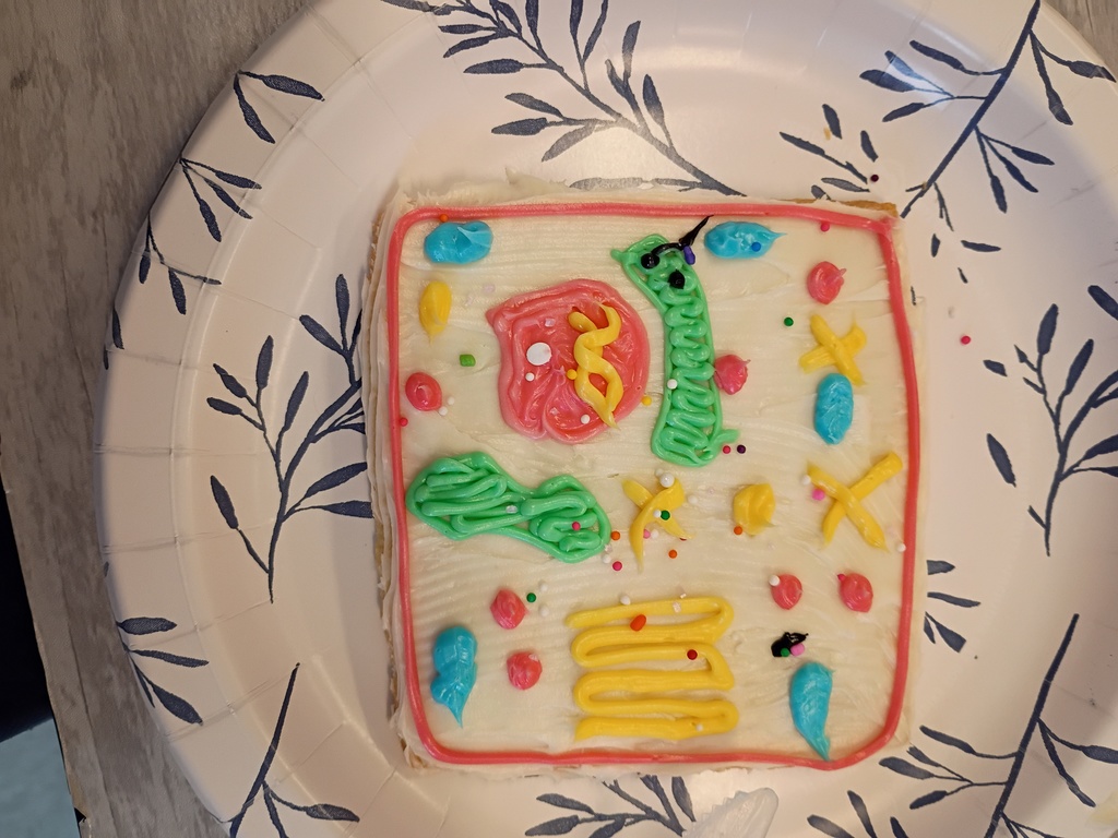 cookie decorated to look like a human cell
