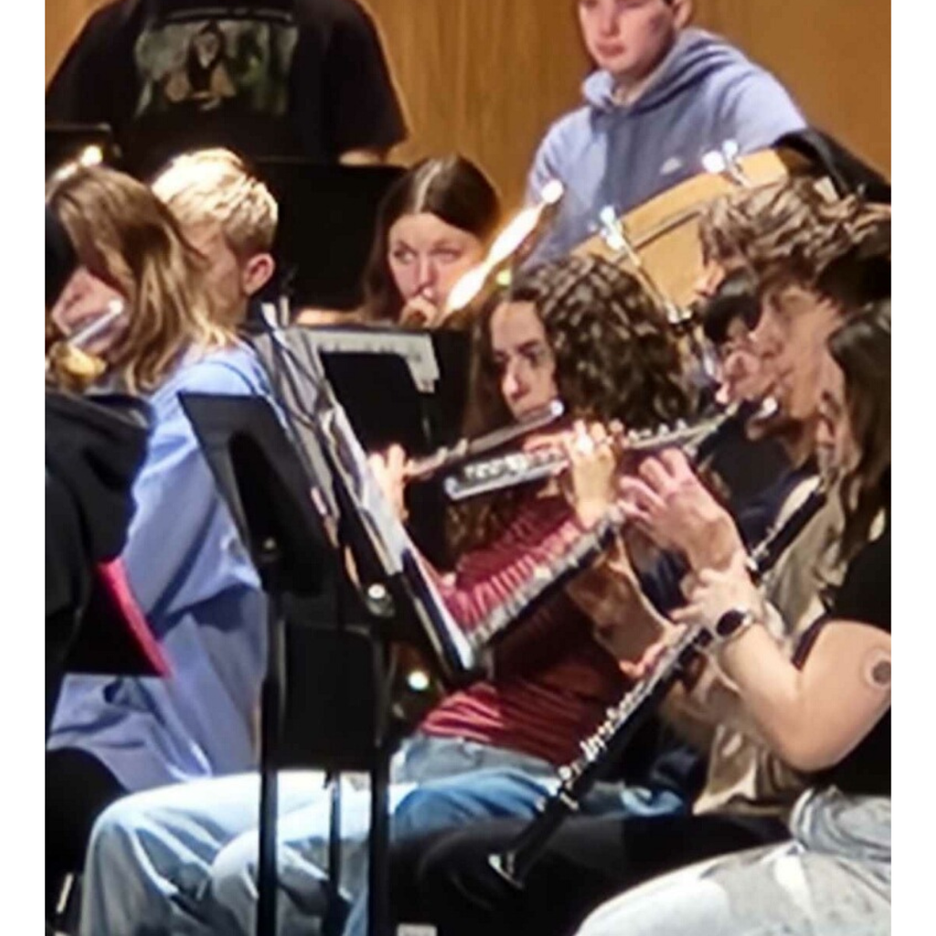 picture of students in a band rehearsal