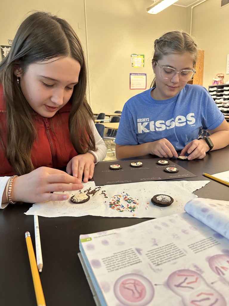 students using oreos and sprinkles for a cell mitosis lab