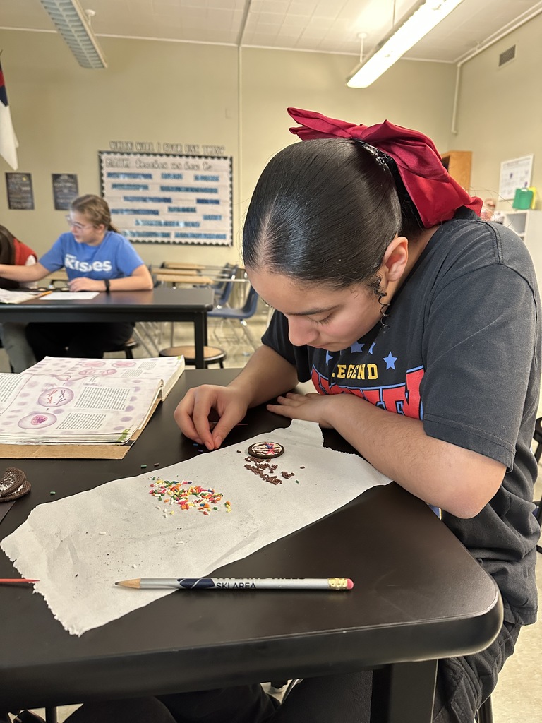 students using oreos and sprinkles for a cell mitosis lab