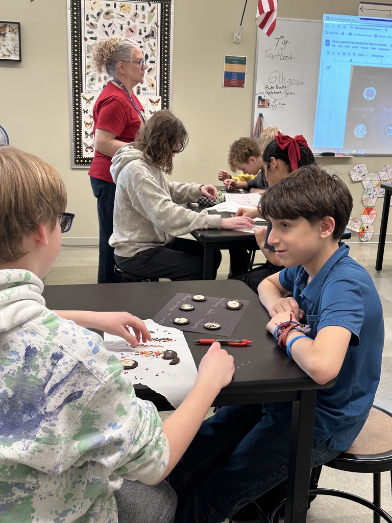 students using oreos and sprinkles for a cell mitosis lab