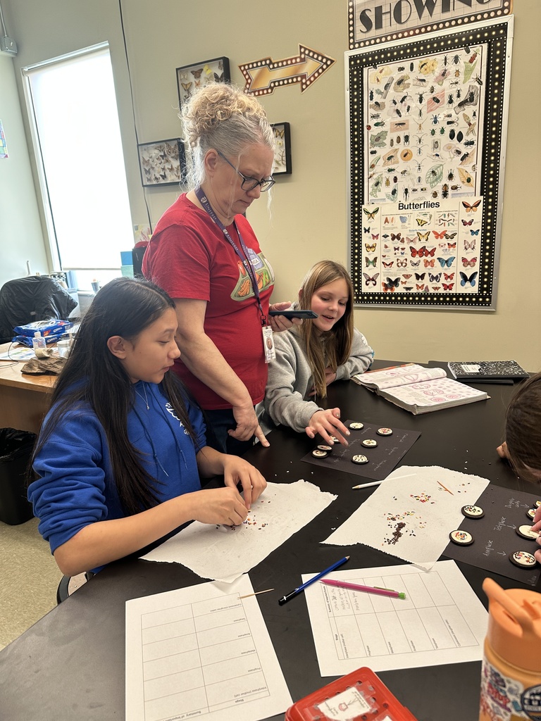 students using oreos and sprinkles for a cell mitosis lab