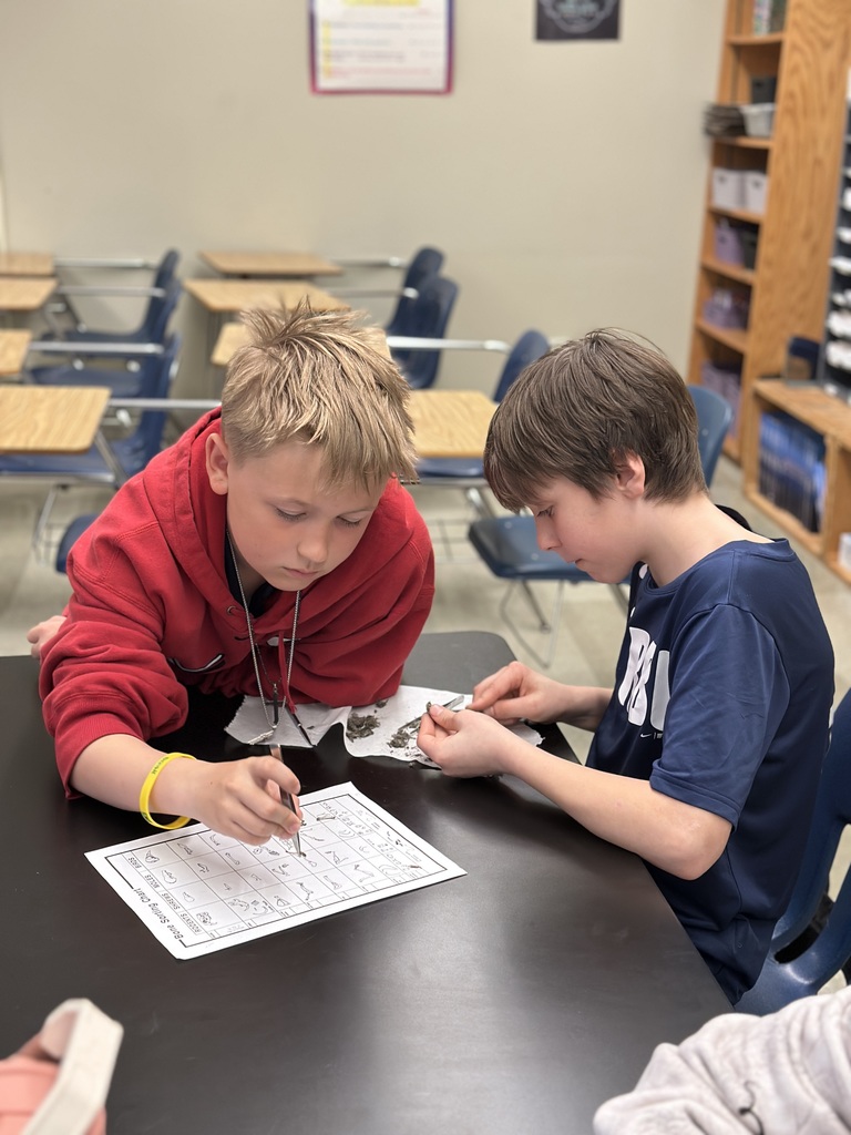6th grade students dissecting owl pellets