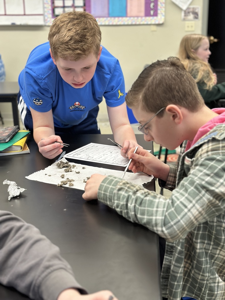 6th grade students dissecting owl pellets