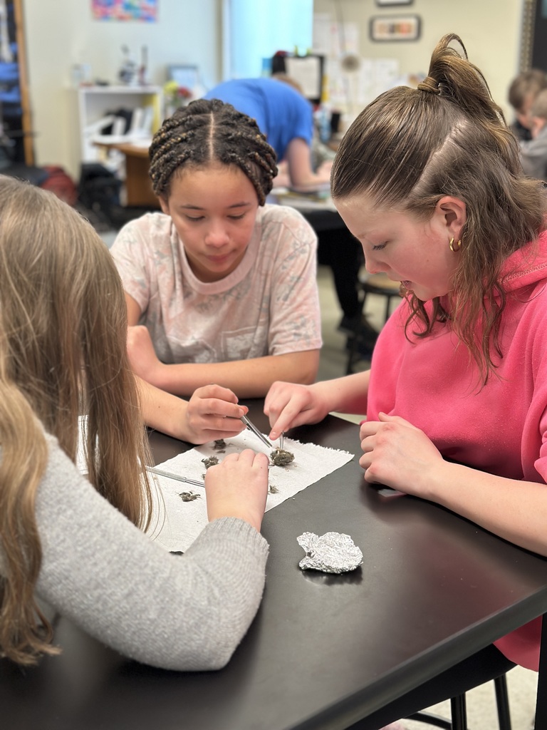 6th grade students dissecting owl pellets