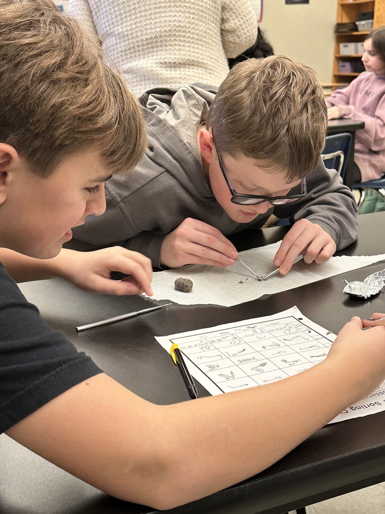 6th grade students dissecting owl pellets