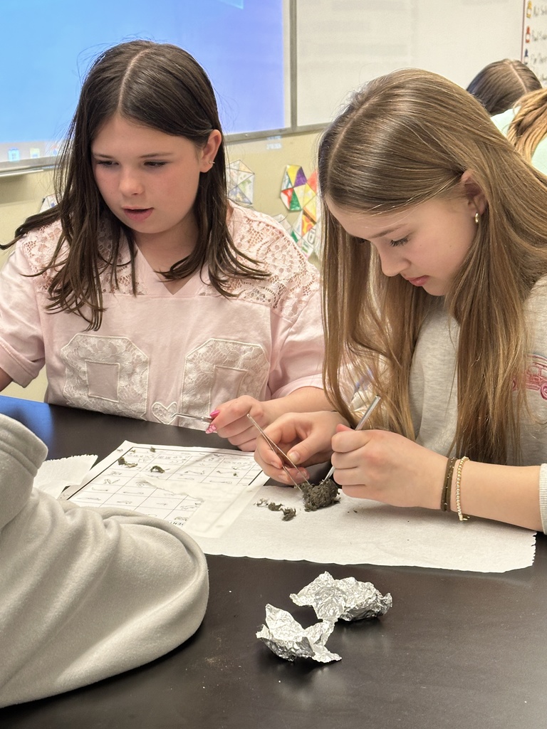 6th grade students dissecting owl pellets
