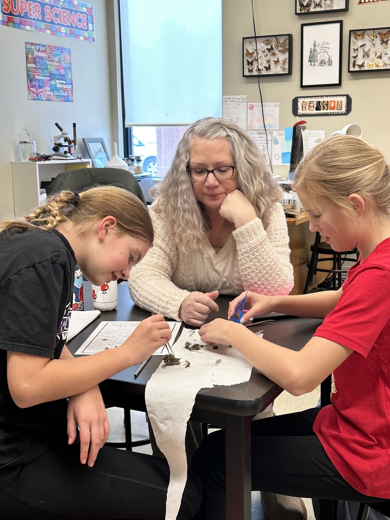 science teacher helping students dissect owl pellets