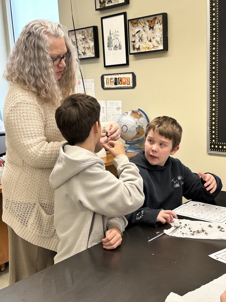 6th grade students dissecting owl pellets