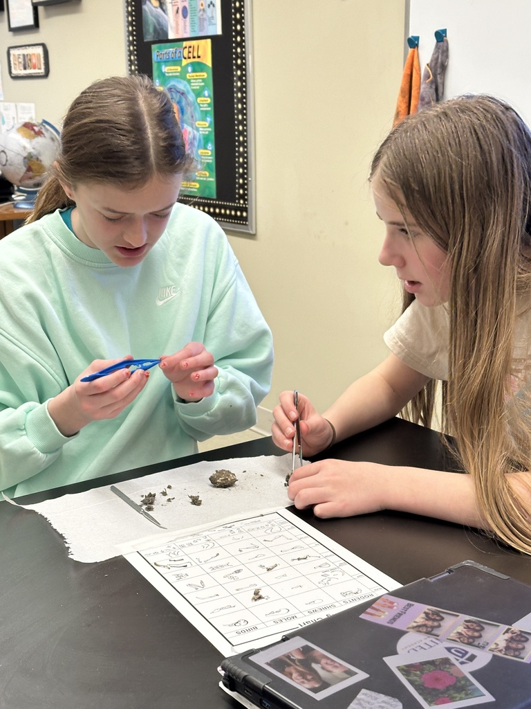 6th grade students dissecting owl pellets