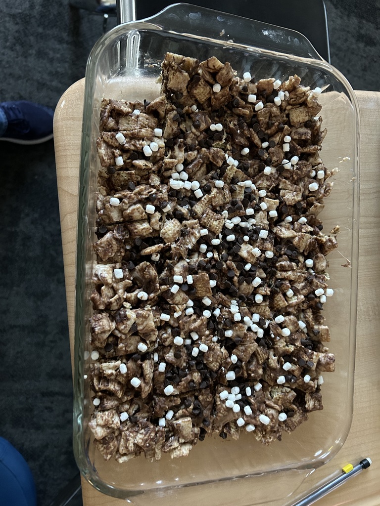 a pan of s'more dessert bars