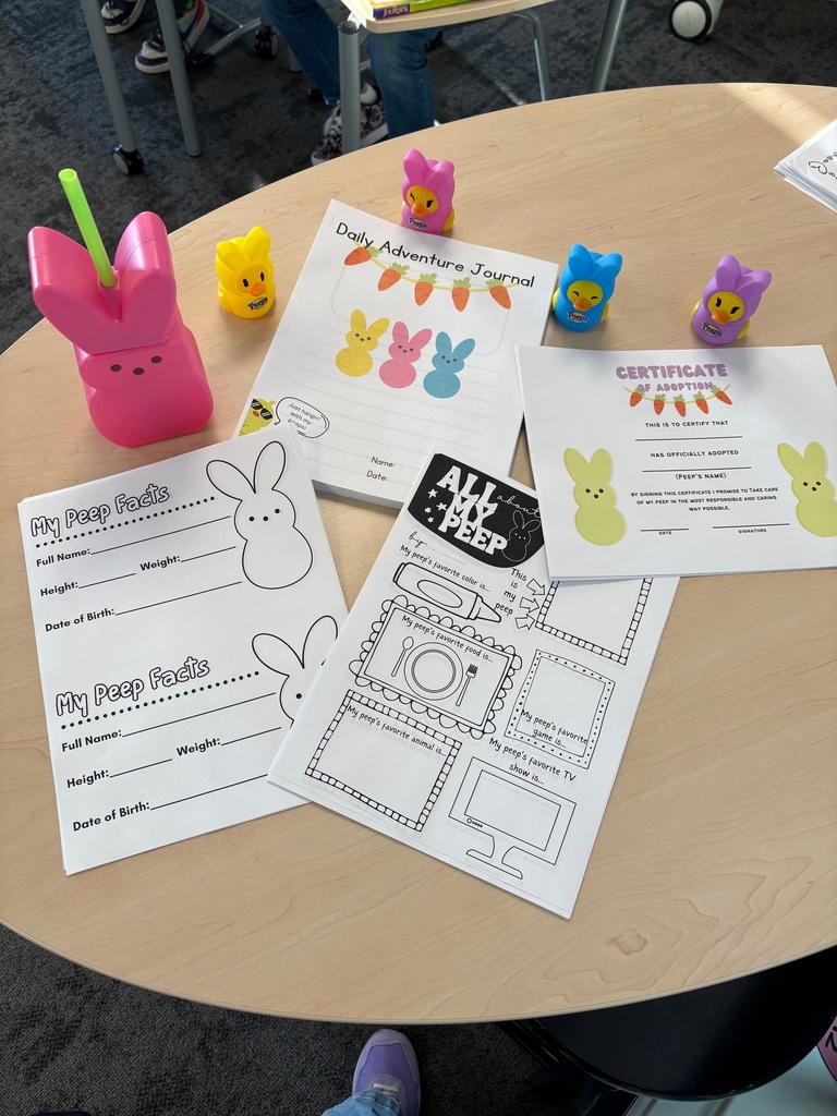 worksheets for a classroom project