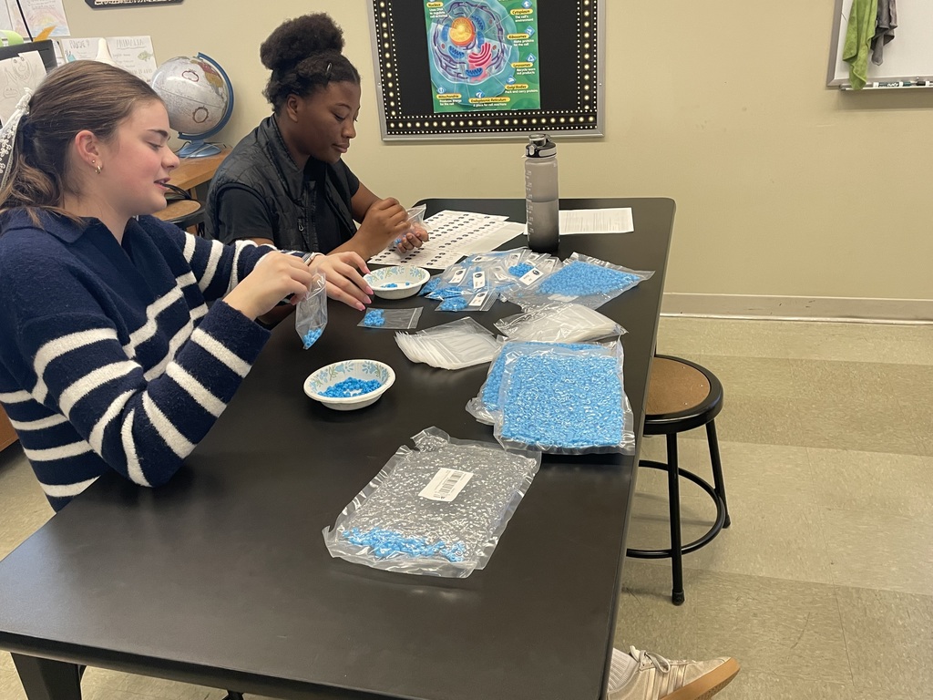 group of students working on a service project