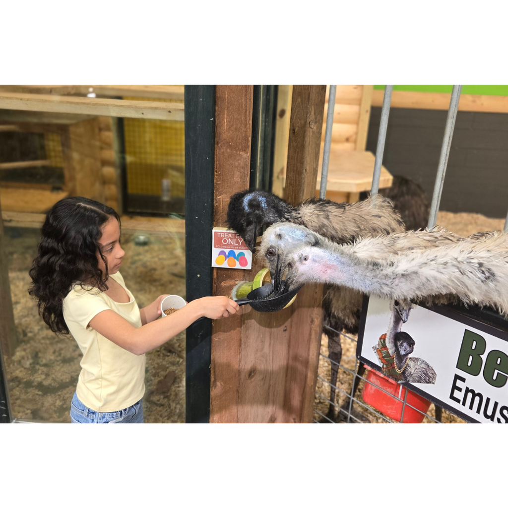 student feeding emus