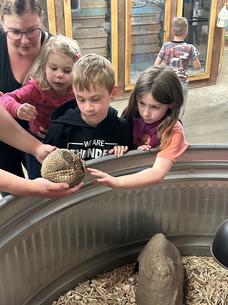 students petting an armadillo