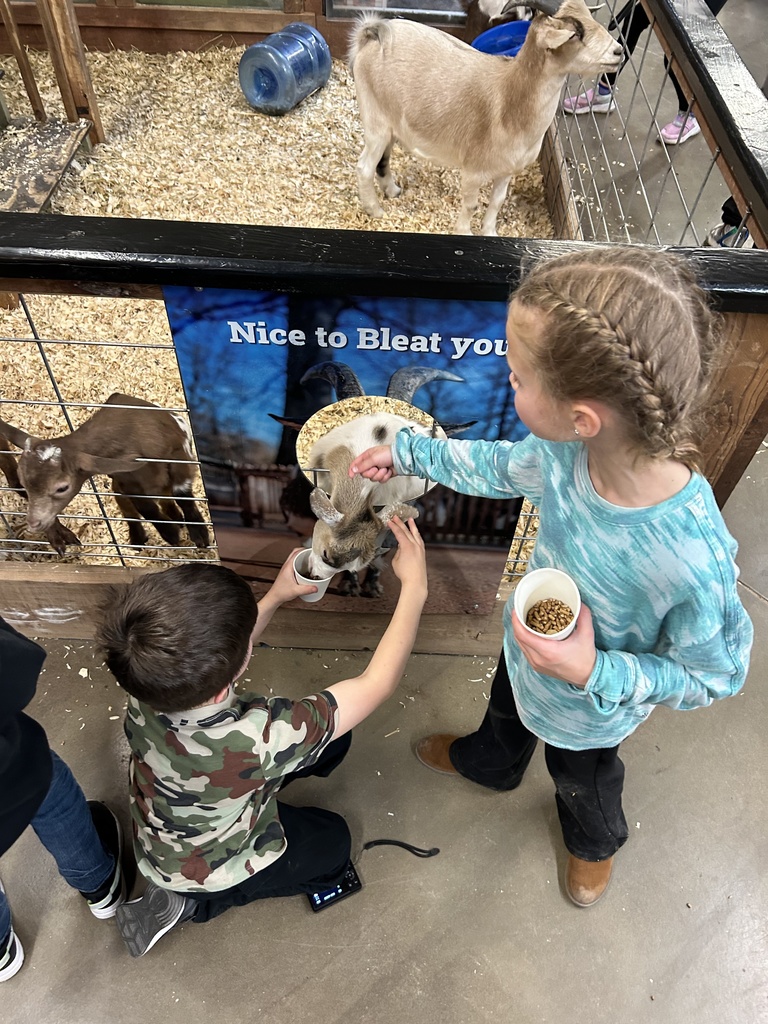 students feeding goats
