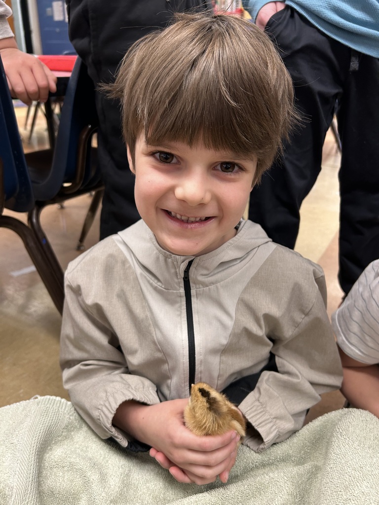 student holding a freshly hatched chick