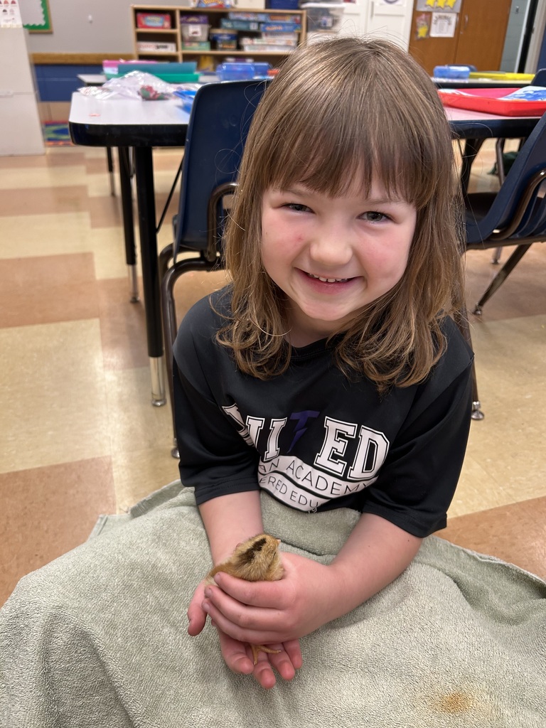 student holding a freshly hatched chick