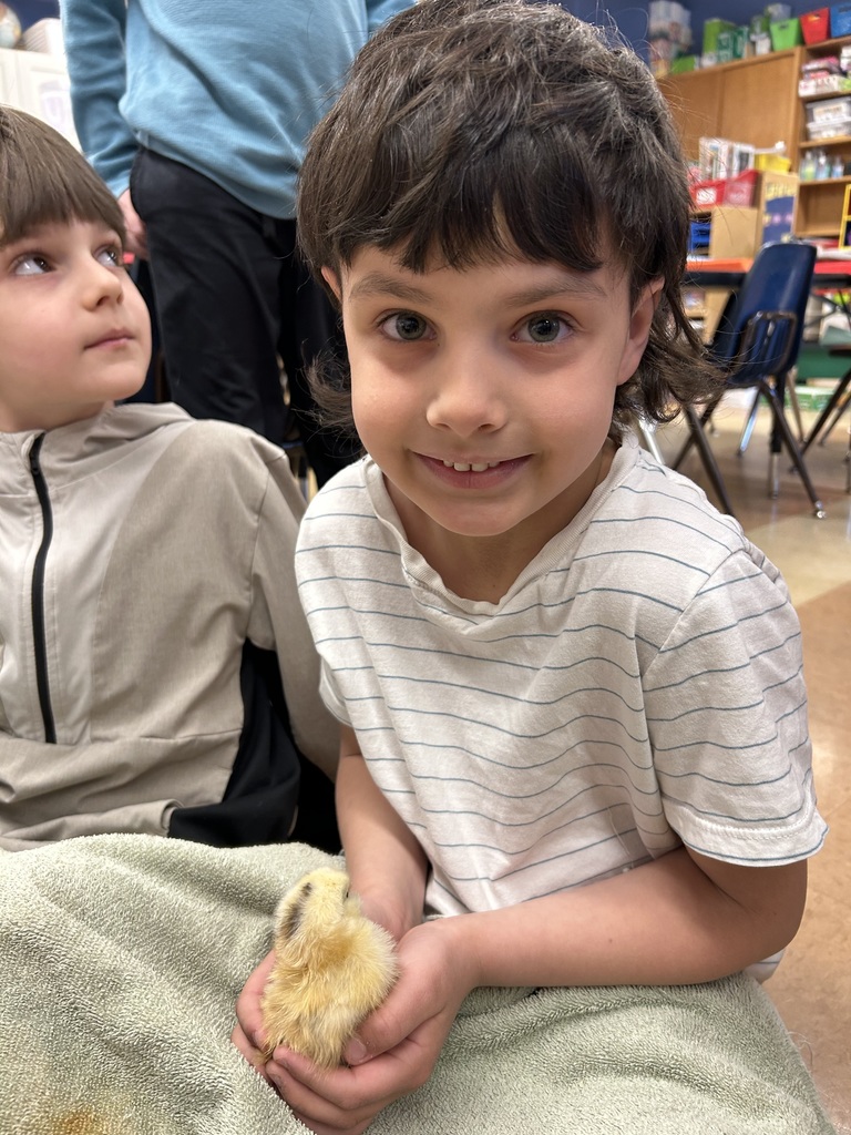 student holding a freshly hatched chick