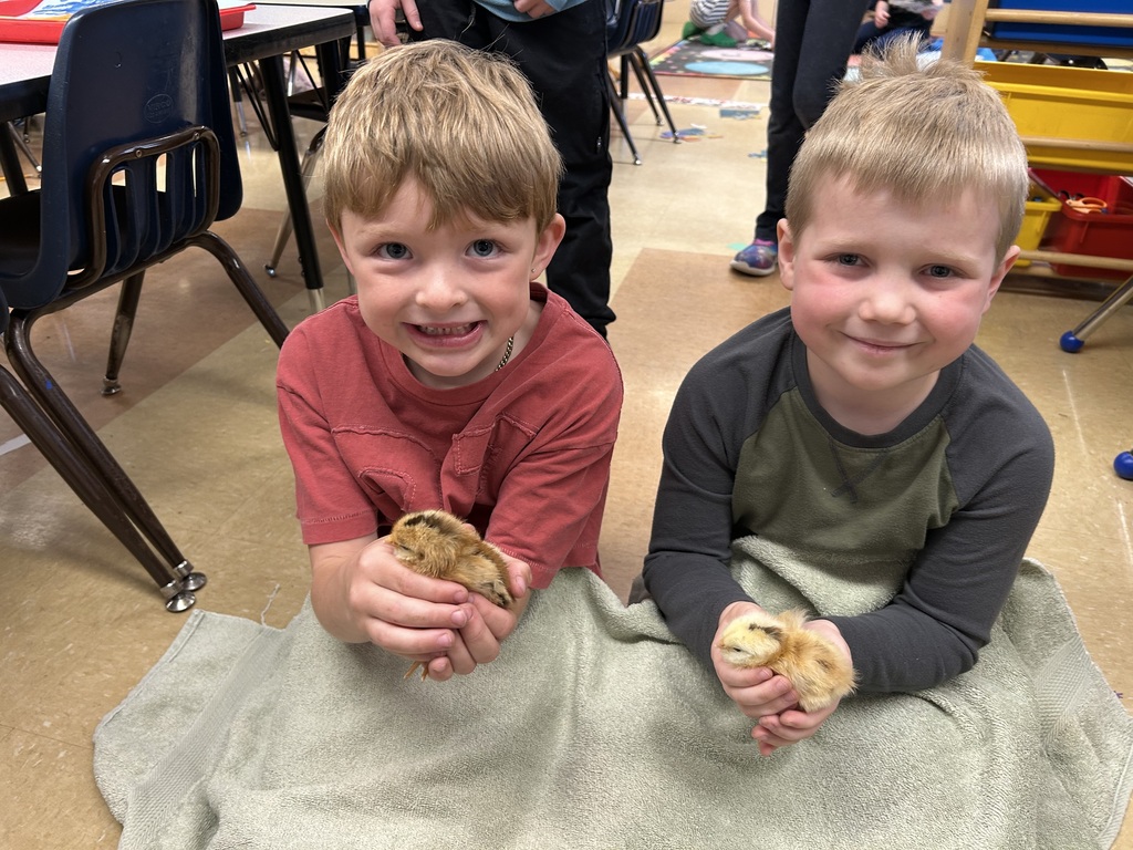 student holding a freshly hatched chick