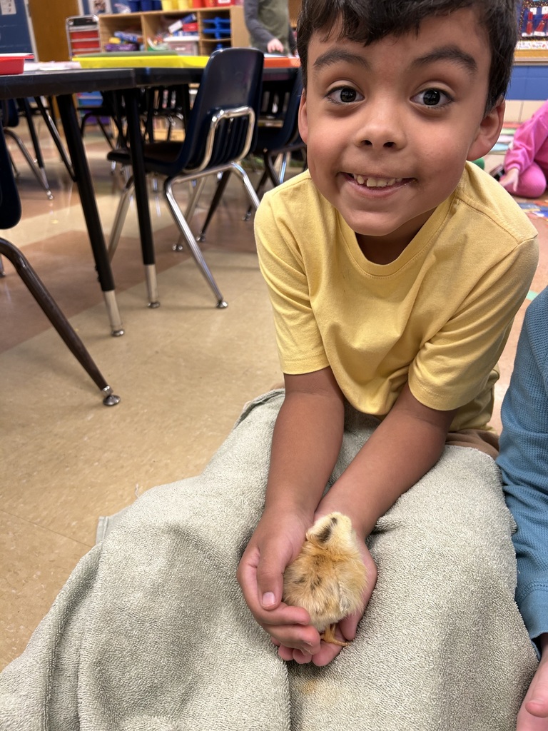 student holding a freshly hatched chick