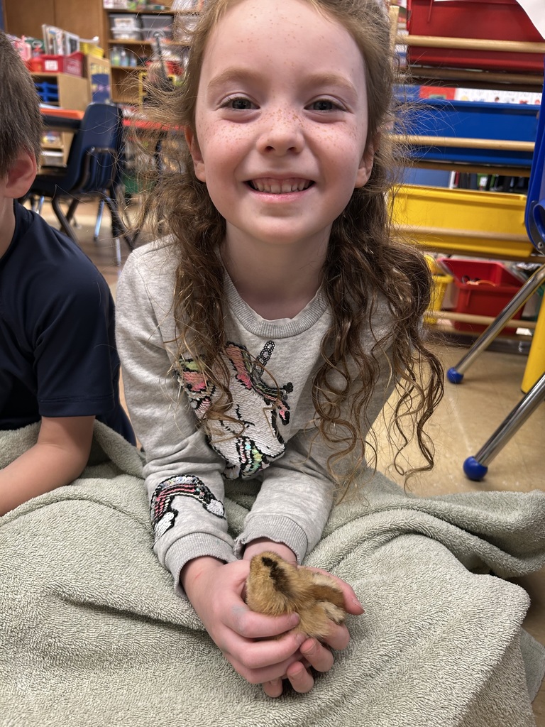 student holding a freshly hatched chick