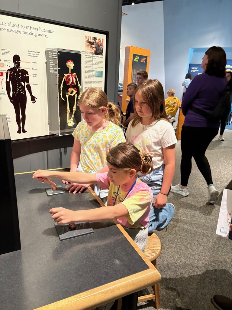 third grade students looking through exhibits at the science museum