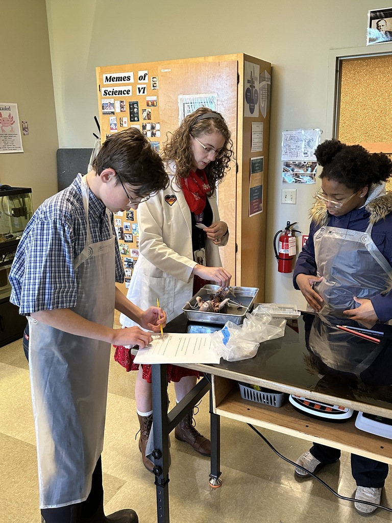 high school science students dissecting a fetal pig