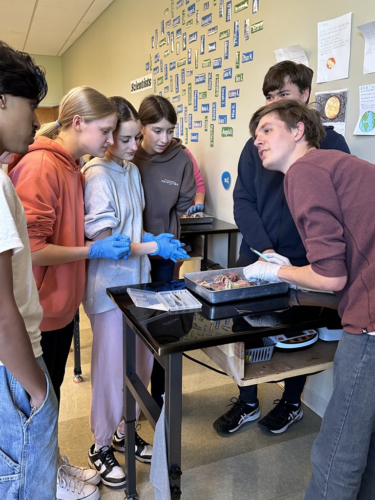 high school science students dissecting a rat