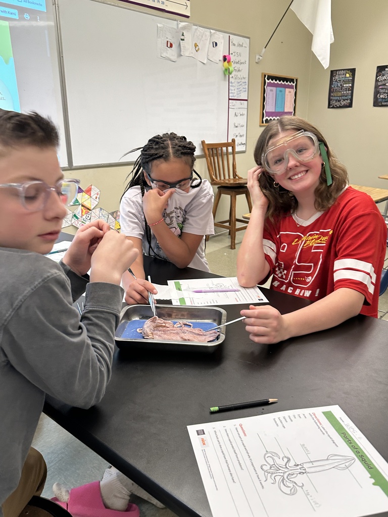 6th grade students dissecting a squid