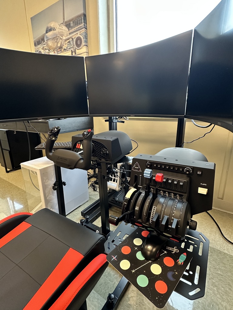 flight simulator