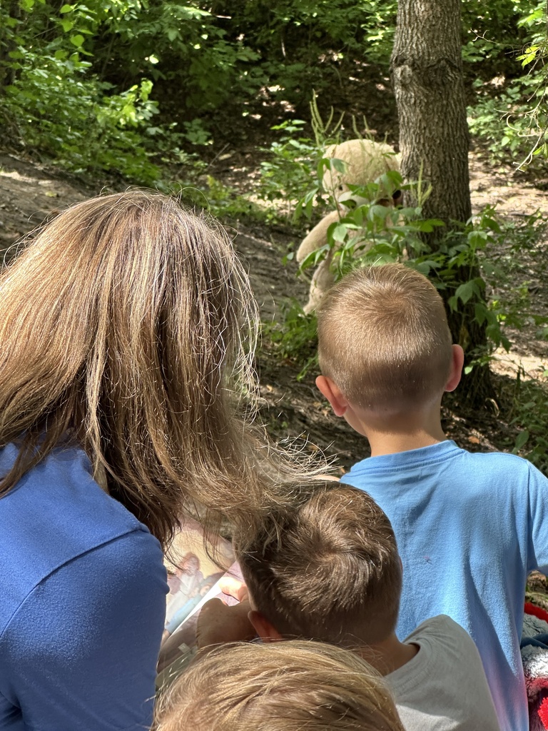 teacher and students looking at a bear that's hiding behind a tree