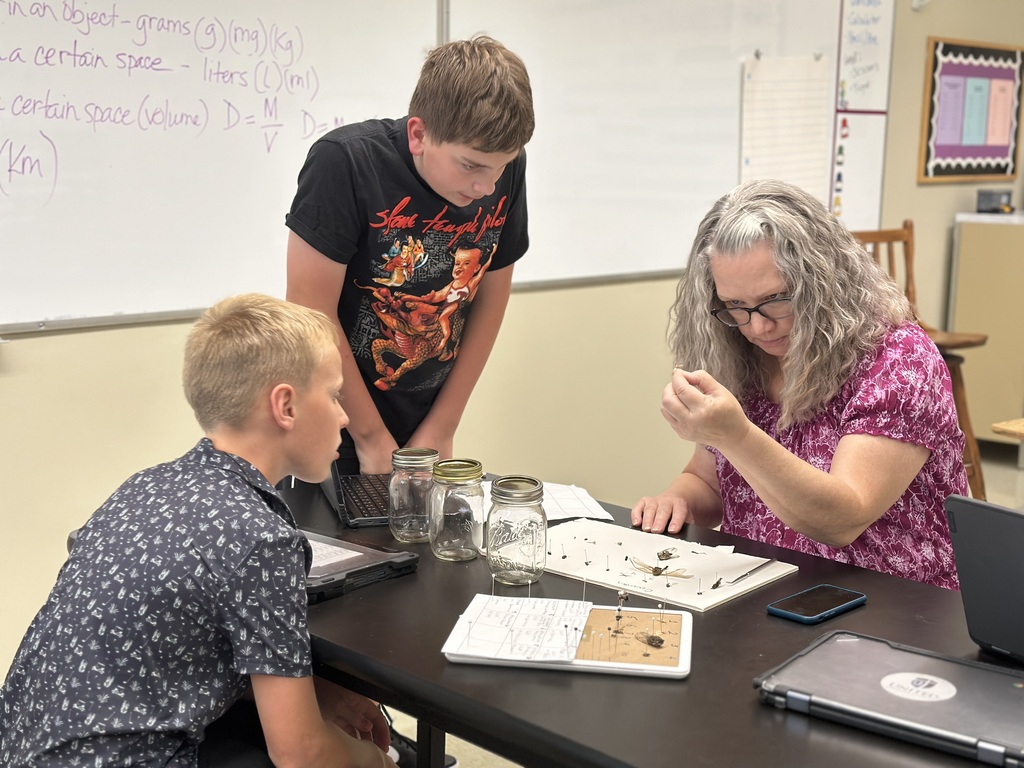 two students and a teacher trying to identify insects