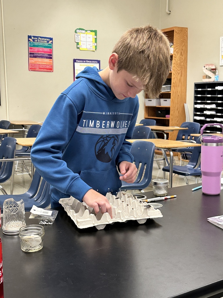 student working with his insect collection