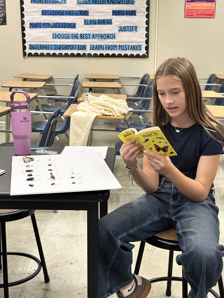 student looking at an insect book trying to identify the insects on her desk