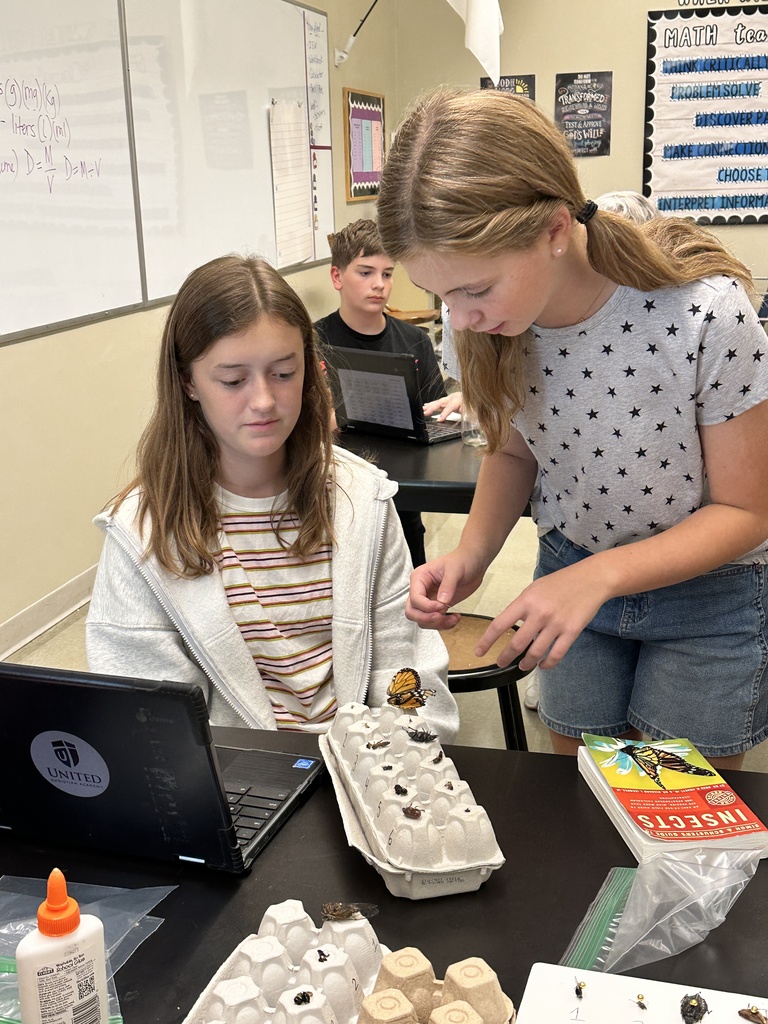 students looking at insects trying to identify them