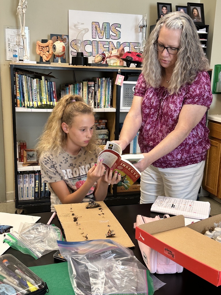 student and a teacher trying to identify insects