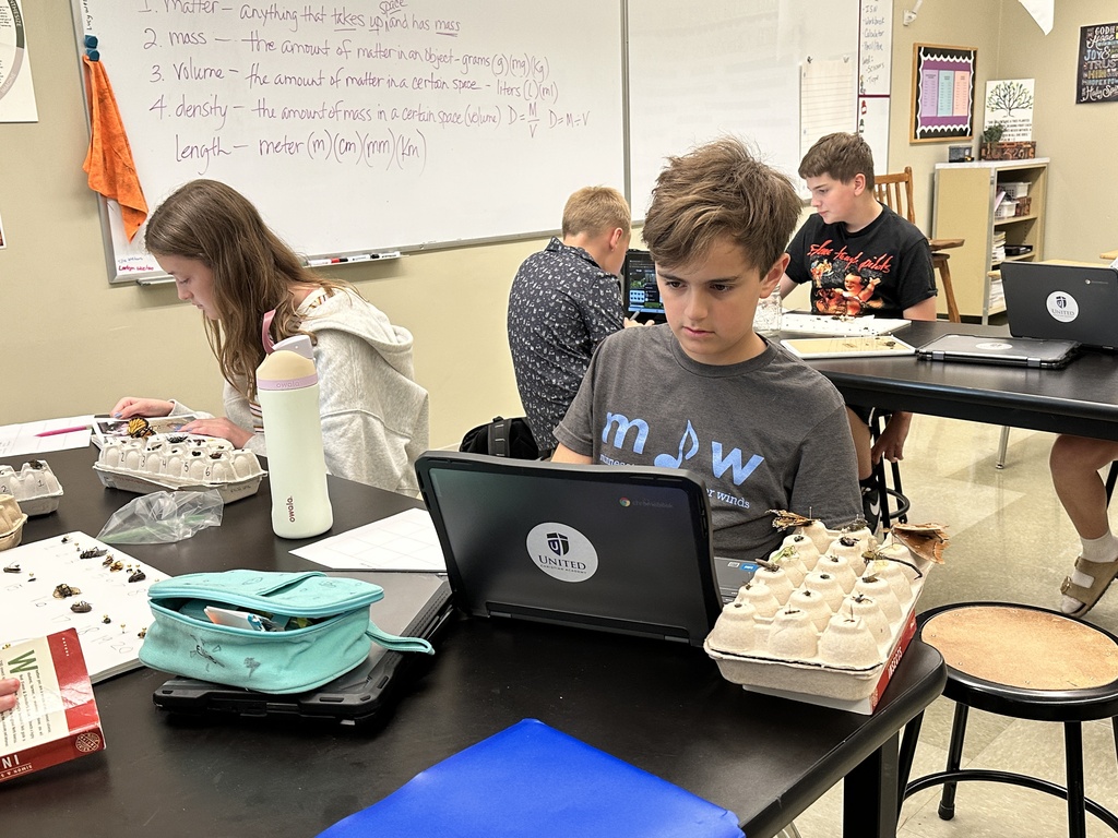 students looking at a laptop with their bug collection on the desk next to the laptop