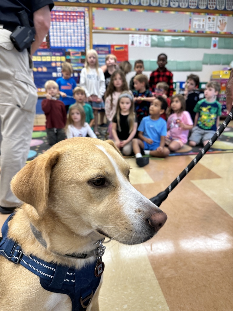 a police dog in front of a classroom of kindergarten students