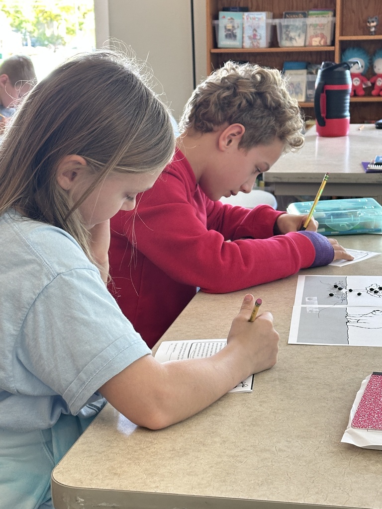 students working in pairs at their desks