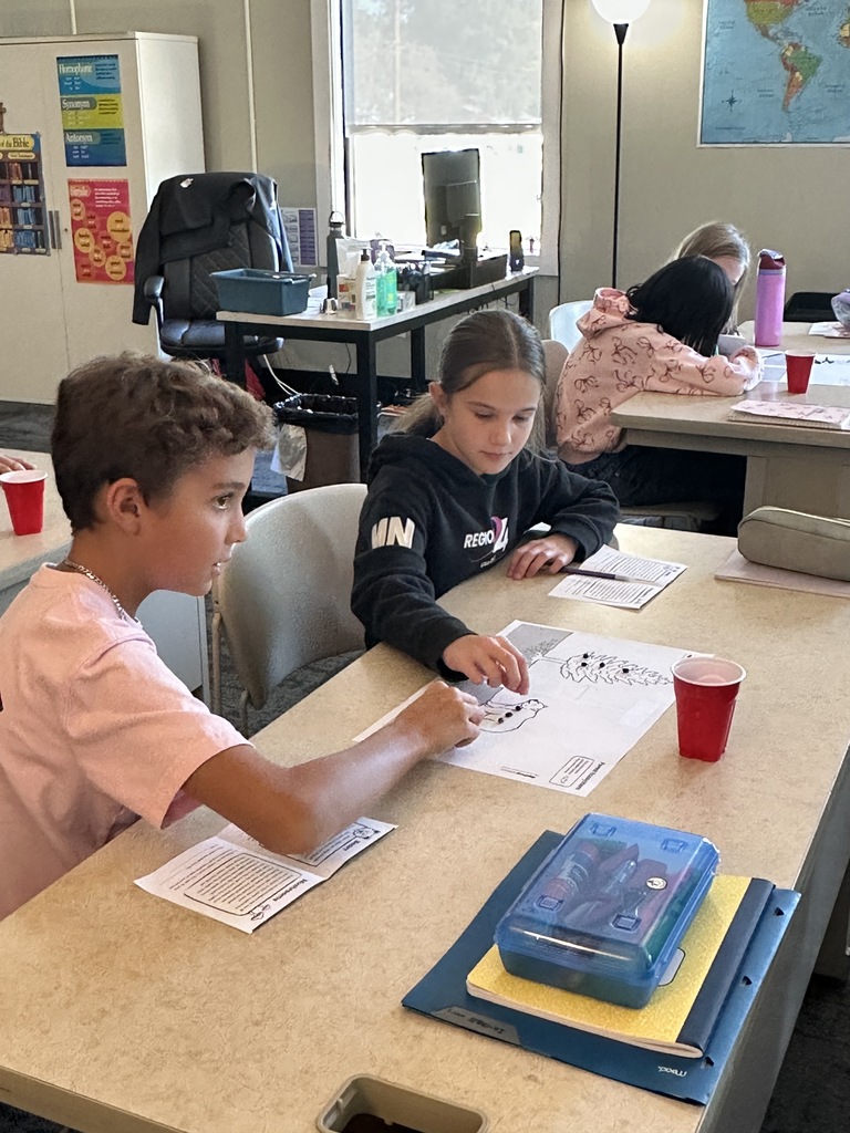 students working in pairs at their desks